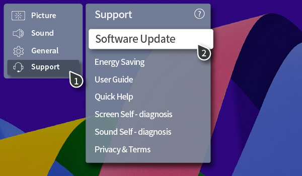 LG TV settings menu with the Software Update option highlighted