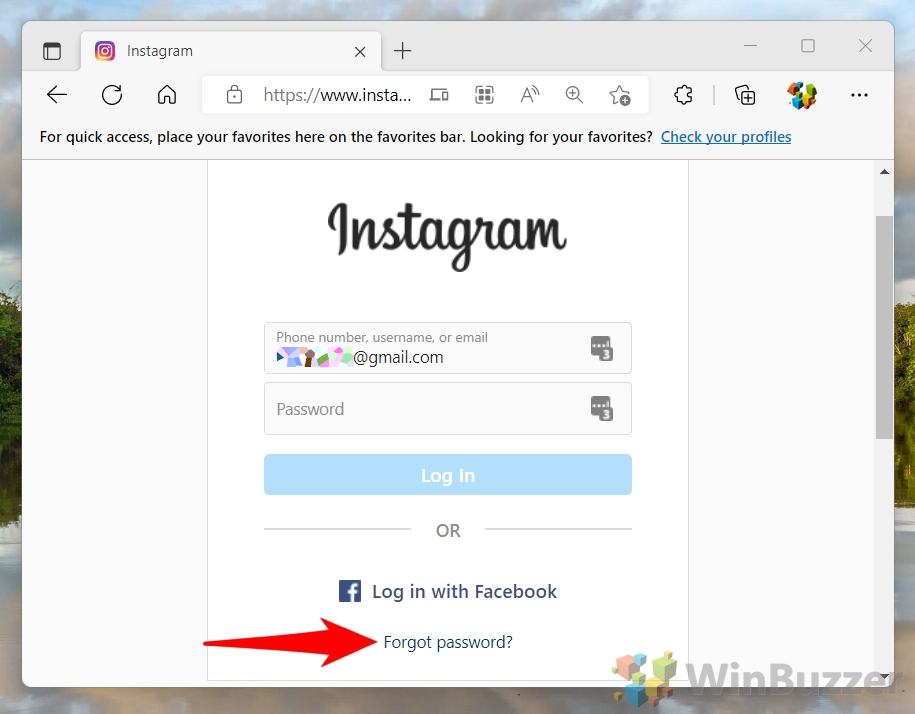 Reset Your Instagram Password in 2025.